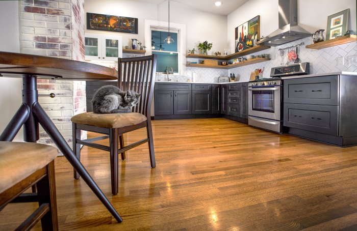 newly remodeled kitchen and cat